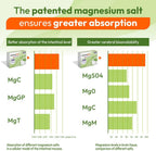 Animafort CronoMag: Complejo de Magnesio con 6 Sales de Alta Absorción, Vitaminas B12 y D, 60 Cápsulas