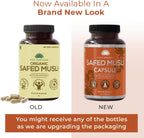 SAPTAMVEDA Cápsulas Naturales de Safed Musli, 500 mg cada una con Extracto, 60 Cápsulas (Paquete de 1)