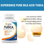 Cofure TUDCA 500mg – Ácido Tauroursodesoxicólico, 60 Cápsulas