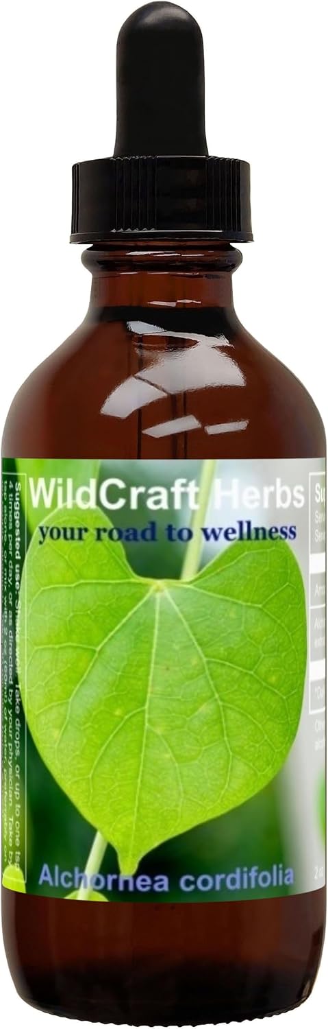 Extracto de Alchornea Cordifolia 4 oz (118 ml)