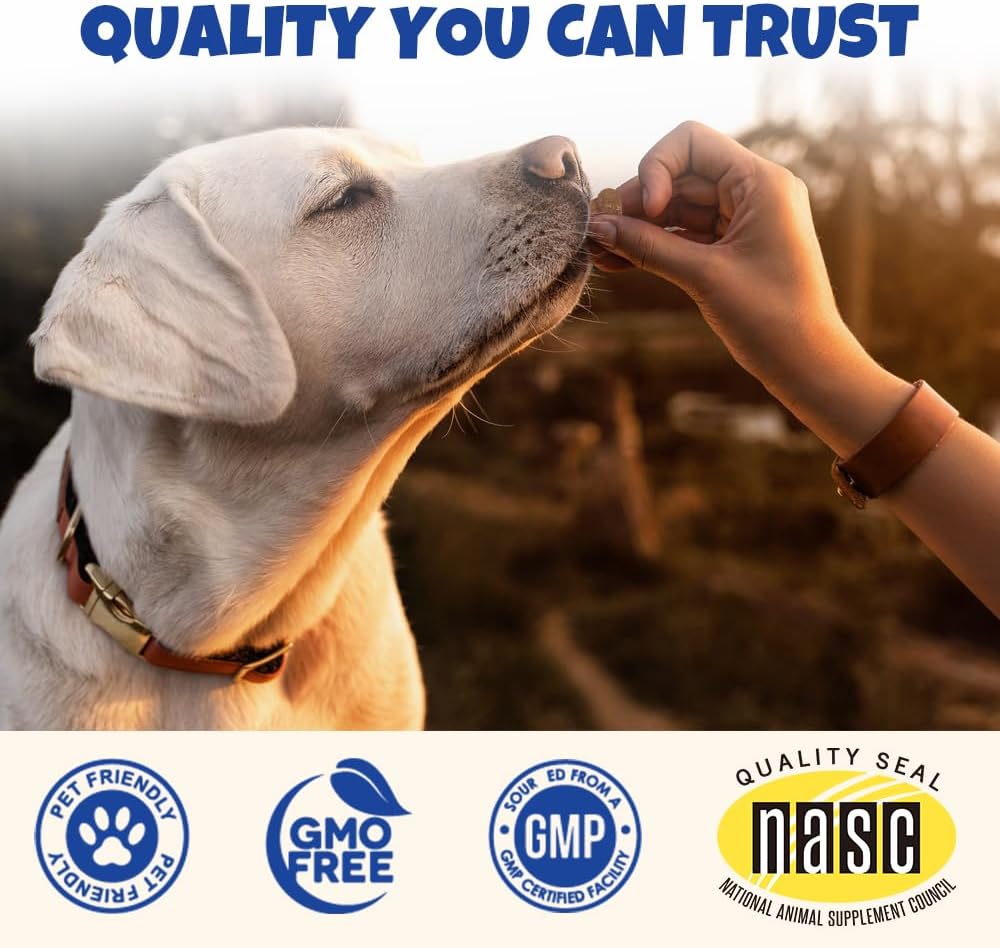 Baaww Probióticos para Perros - Alivio Diarrea, Apoyo Inmunológico, Salud Digestiva, 6 mil millones de UFC, 90 Masticables Sabor Cerdo para Todas las Razas