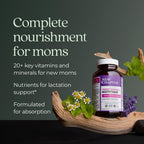 New Chapter - Multivitamínico Posparto y Lactancia, 270 Cápsulas