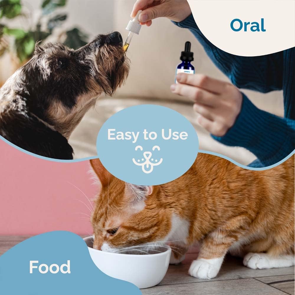 Apoyo al Sistema Nervioso para Perros y Gatos - Fórmula Herbal que Ayuda a Reducir el Nerviosismo y Movimientos Involuntarios - Pack de 2