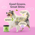 kin+kind Suplemento para la Piel y el Pelaje de Perros y Gatos – Vitaminas Naturales con Ingredientes Orgánicos – 3x8 oz