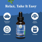 Gotas Líquidas de L-Theanina de Alta Absorción - Suplemento Nootrópico con 200mg de L-Theanina y Extractor de Manzanilla para Concentración y Relajación en Adultos y Niños - 60 ml