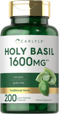 Carlyle Cápsulas de Albahaca Santa (Tulsi) | 200 Unidades | Extracto de Hoja de Tulsi | Suplemento Herbal | No-GMO, Sin Gluten