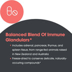 Allergy Research Group Immuno-Gland Plex - Mezcla de Glándulas Multiorgánicas, 60 Cápsulas Vegetales