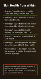 Dermaqq Ubiquinol para Perros y Gatos – CoQ10 para la Salud de la Piel, Puntos Calientes y Caída del Pelo (2 Cajas de 100 mg en Cápsulas Blandas)
