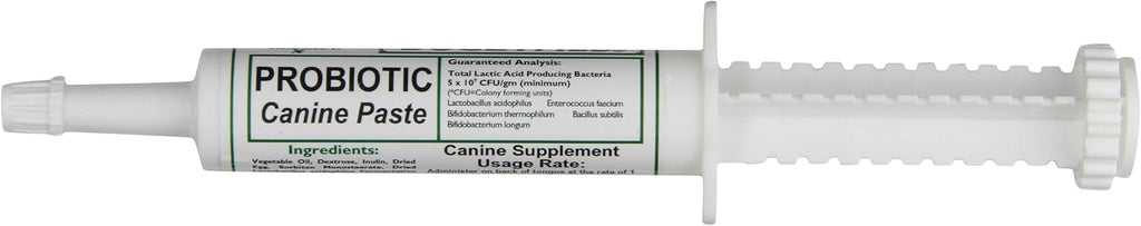 Dogzymes Pasta Probiótica Canina con Saccharomyces boulardii (15 g)