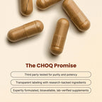 CHOQ Shilajit - Cápsulas Veganas 500 mg - Ácido Fúlvico >50%