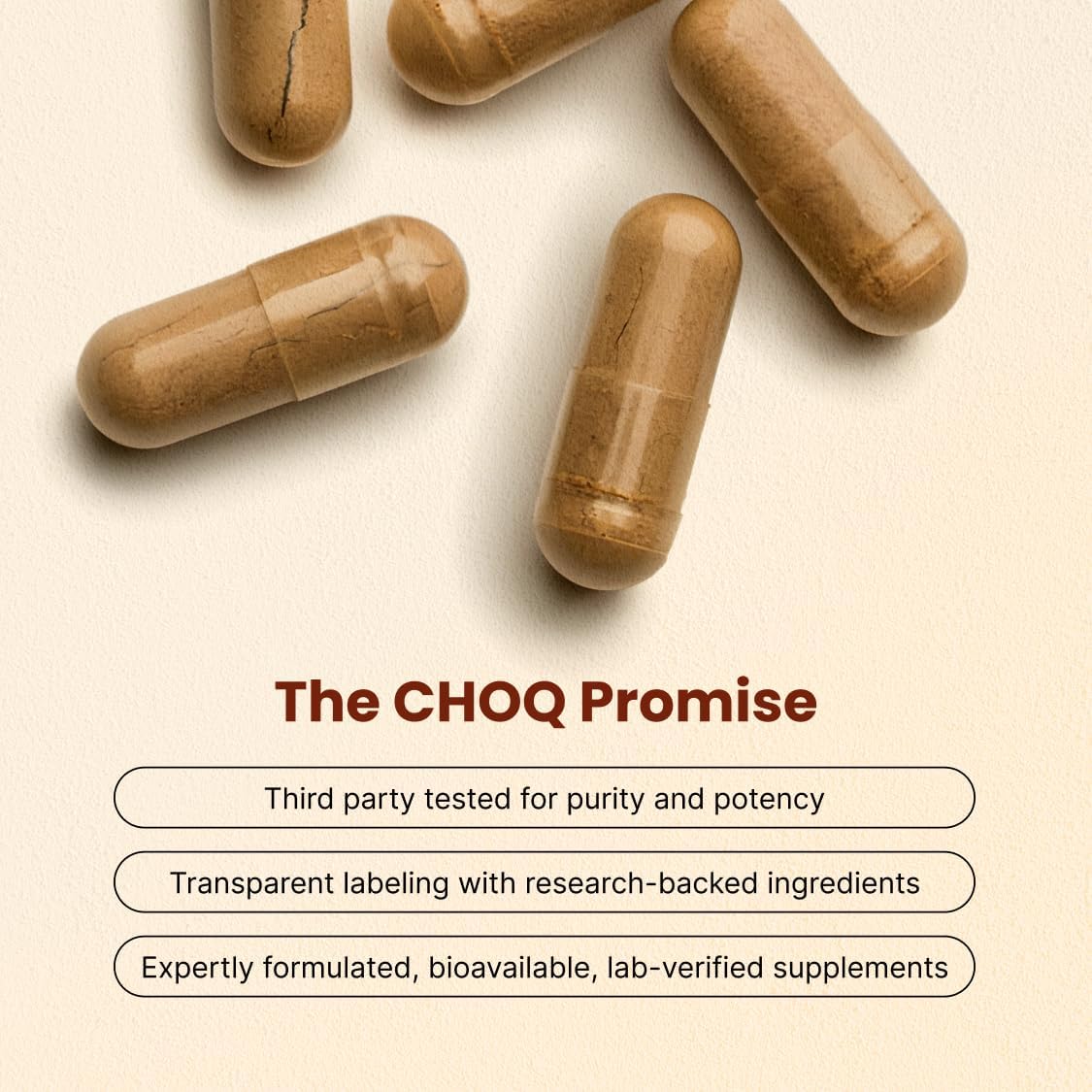 CHOQ Shilajit - Cápsulas Veganas 500 mg - Ácido Fúlvico >50%