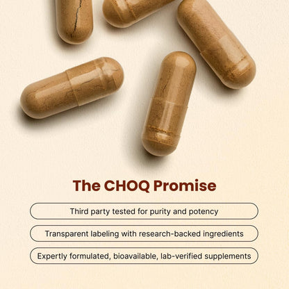 CHOQ Daily con 500mg PrimaVie Shilajit, Safed Musli y Tribulus - Suplemento Diario para Hombres, 60 Cápsulas Veganas