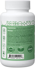 Pattern Wellness Complejo Cognitivo – Apoya la Salud Cerebral y la Claridad Mental – con Lion's Mane, Bacopa y Vitaminas B – 60 Cápsulas Vegetarianas