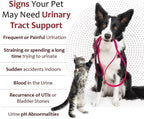 K-Plus Citrato de Potasio + Arándano Gránulos para Perros y Gatos – 60 Dosis