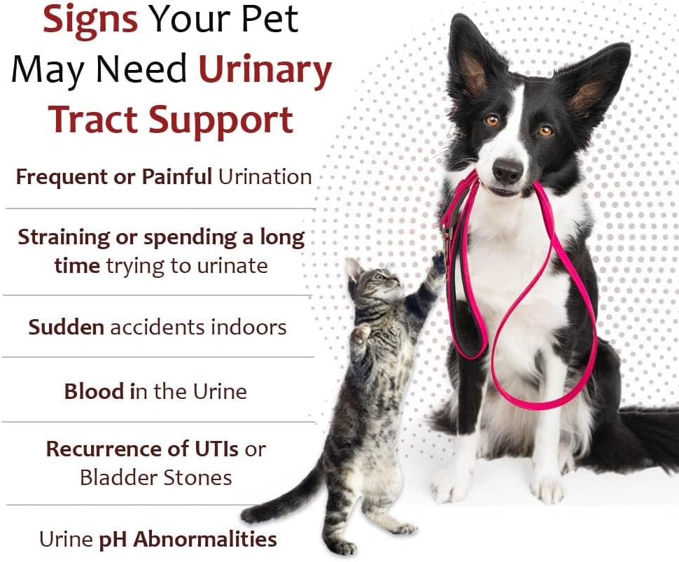 K-Plus Citrato de Potasio + Arándano Gránulos para Perros y Gatos – 60 Dosis