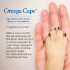 Omega-Caps HP Snip Tips - Aceite de pescado con omega 3, EPA y DHA para gatos y perros pequeños - 60 cápsulas