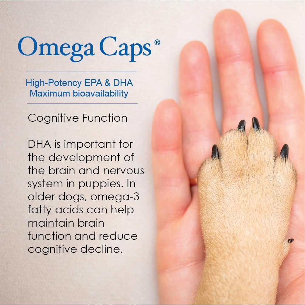 Omega-Caps HP Snip Tips - Aceite de pescado con omega 3, EPA y DHA para gatos y perros pequeños - 60 cápsulas