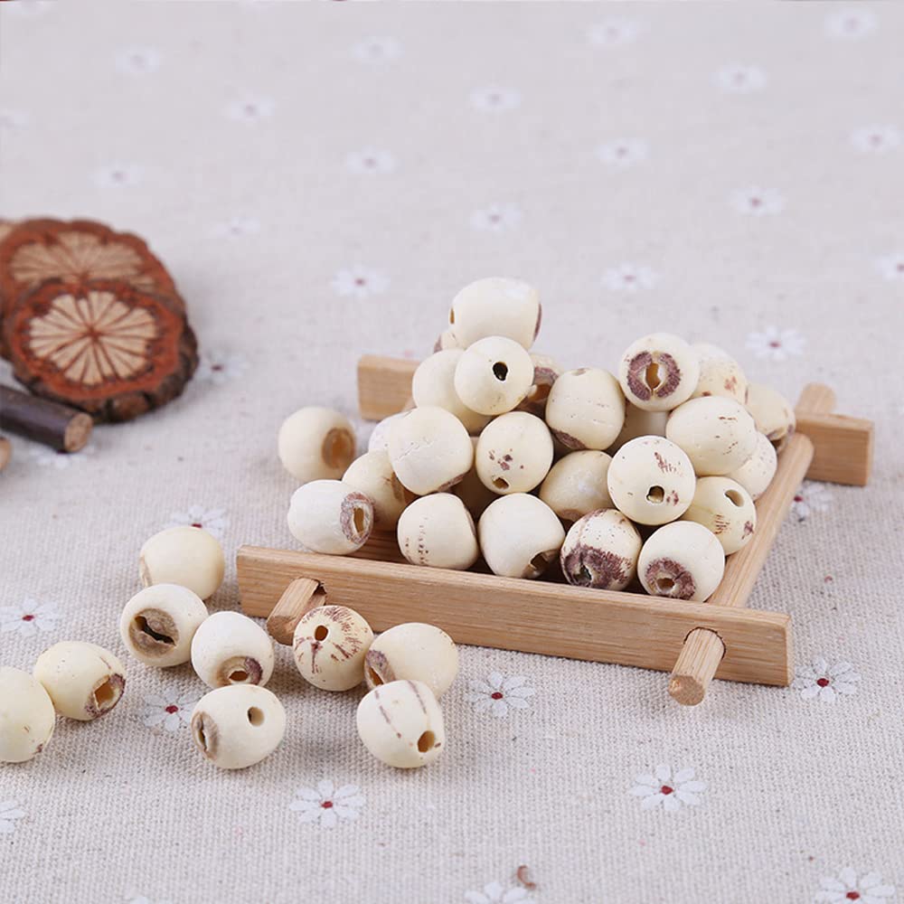 Semillas de Loto Orgánicas (500 g)