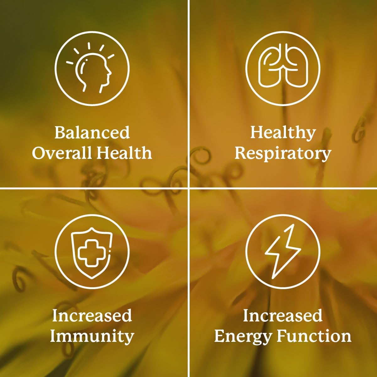Nature's Sunshine VS-C TCM Concentrate – Suplemento de 10 hierbas chinas, 30 cápsulas