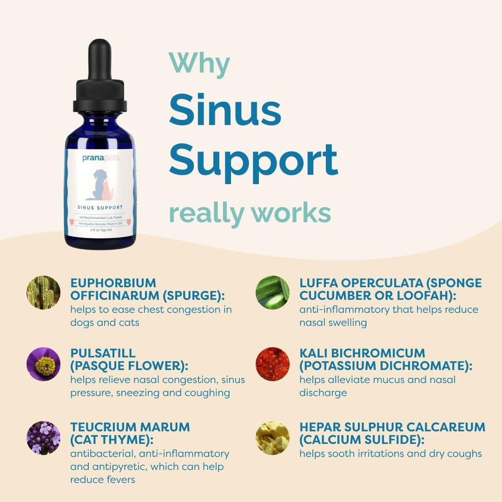 PranaPets Sinus Support – Suplemento Líquido para Perros y Gatos | Alivio Natural de la Congestión