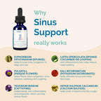 PranaPets Sinus Support – Suplemento Líquido para Perros y Gatos | Alivio Natural de la Congestión