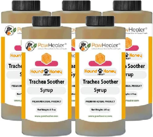 Jarabe Trachea Soother 5PAK Miel de Sabueso - Remedio Herbal Natural para los Síntomas de Tráquea Colapsada (5 x 148 ml)