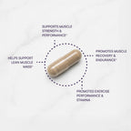 Purity Products Muscle Accelerator 650 mg - 120 Cápsulas Veganas (2 Envases)