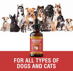 Tratamiento Natural para Infección Urinaria en Perros y Gatos – Gotas de Arándano para Riñón y Vejiga