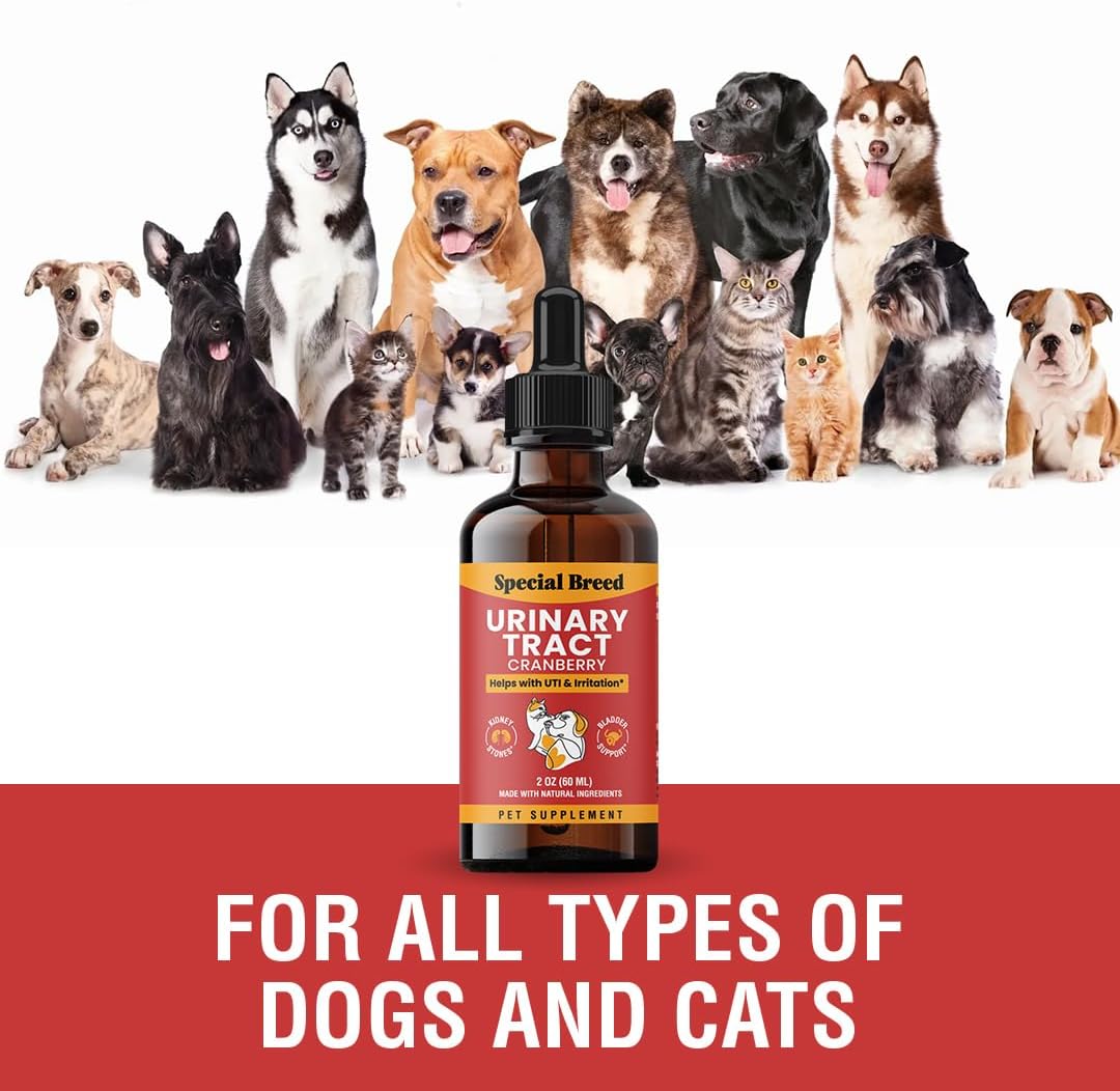 Tratamiento Natural para Infección Urinaria en Perros y Gatos – Gotas de Arándano para Riñón y Vejiga