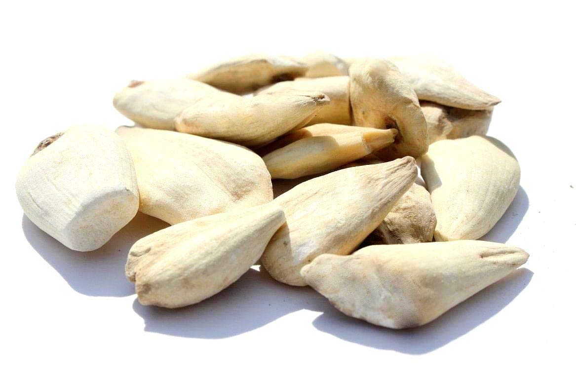 vinarghya – Suranjan Mithi (Colchicum luteum) – Raíz seca – 100 g