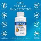 Holistic Health Labs Gut Alive - Apoyo Natural contra el Ardor, Indigestión e Hinchazón (60 Cápsulas)