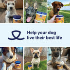 Origin Labs Belly Buddies Probióticos para Perros, 90 Masticables Sabor Bacon