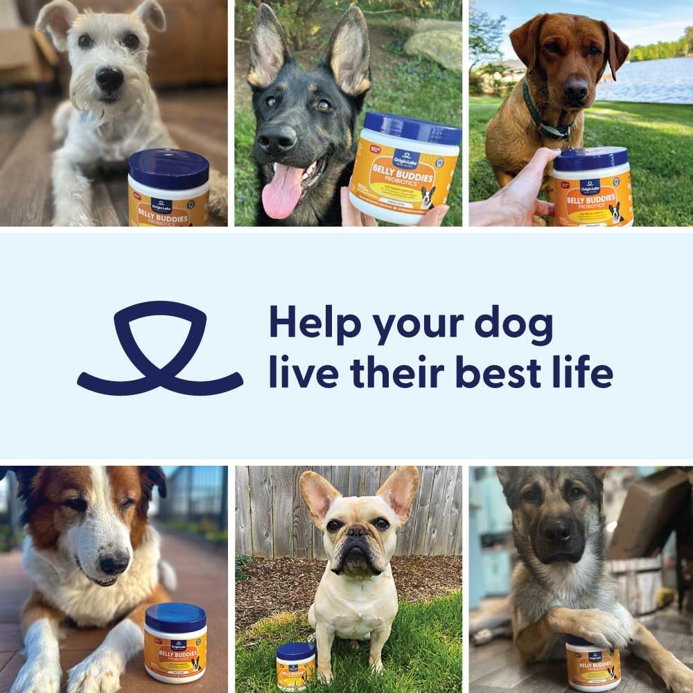 Origin Labs Belly Buddies Probióticos para Perros, 90 Masticables Sabor Bacon