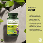 Banyan Botanicals Mucuna Pruriens Orgánica – 90 Comprimidos