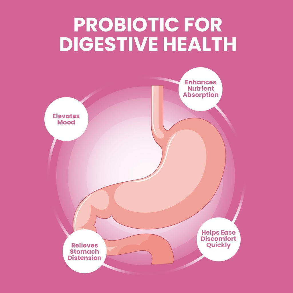 FemiPro Supplement - Probiótico para la Salud Urinaria y Microbioma (5 Pack - 300 Cápsulas)