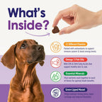 Multivitamínico Masticable para Perros 22 en 1 - Con Mejillón de Labios Verdes y Omega-3 - 60 Masticables Sabor Ternera