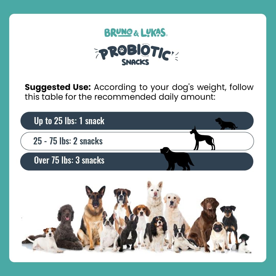 Bruno & Lukas Probióticos Masticables para Perros – Salud Digestiva y Apoyo Inmunológico – 90 Chews