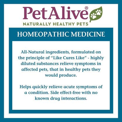 AmazaPet – Comprimidos para la tos y el soporte respiratorio en perros y gatos (180 comprimidos) – Image 8