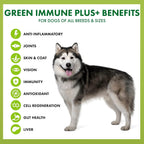 King Kanine Green Inmune Plus Multivitamínico y Mineral Orgánico para Perros, 170 g