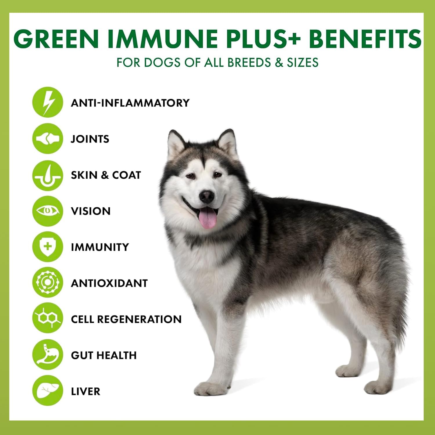 King Kanine Green Inmune Plus Multivitamínico y Mineral Orgánico para Perros, 170 g