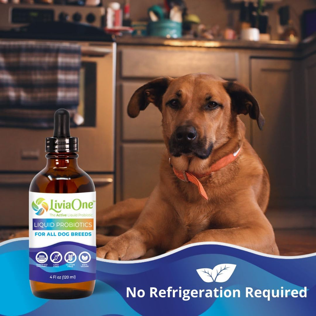 BioLifePet Probiotics Líquidos para Perros - Orgánico - 118 ml