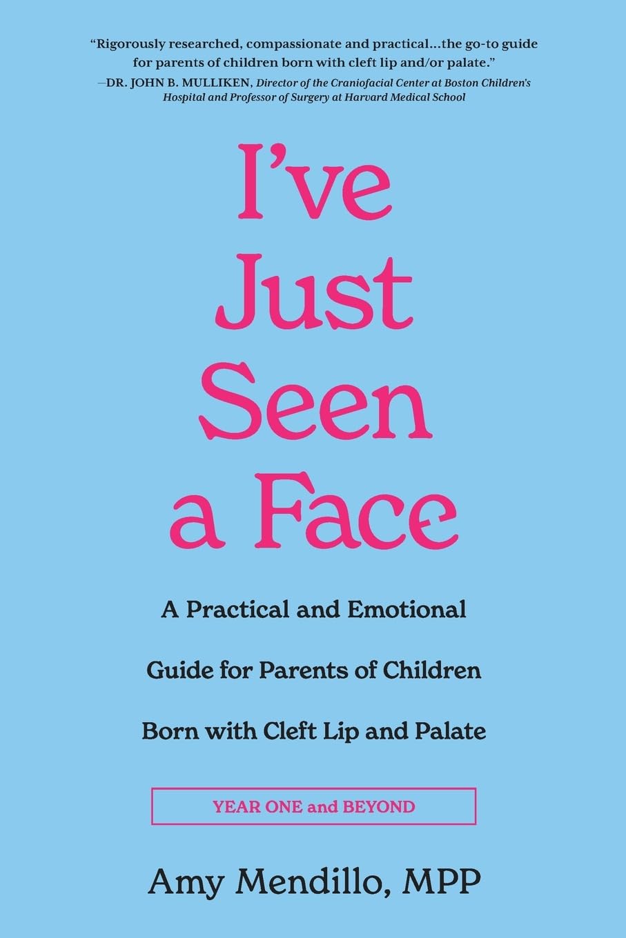 I've Just Seen a Face: A Practical and Emotional Guide for Parents of Children Born with Cleft Lip and Palate (Year One and Beyond)