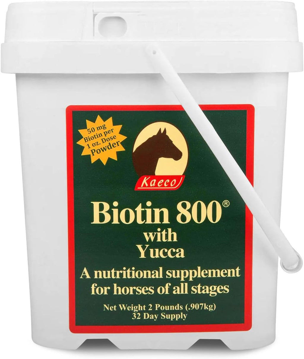 Biotina 800 en Polvo