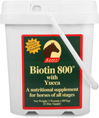 Biotina 800 en Polvo