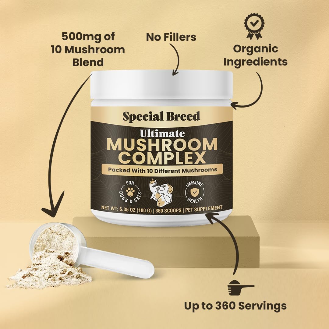 Special Breed Polvo de Hongos Orgánicos para Perros y Gatos - Complejo de 10 Hongos para Apoyo Inmunológico, Cognición y Vitalidad - 360 Cucharadas