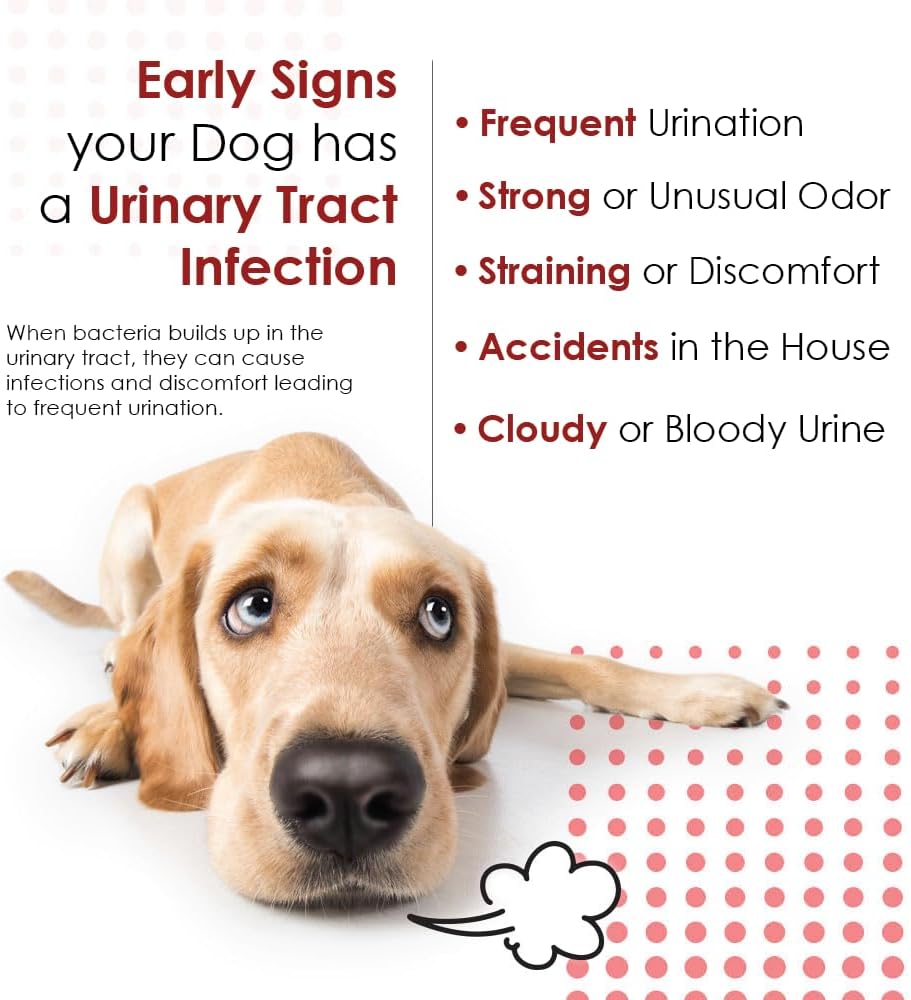 Cranberry and D-Mannose Supplement for Urinary Tract Health in Dogs and Cats - 120 Soft Chews