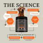 Shield Allergy Immune Support para Perros Pequeños - Polvo de Setas y Vitamina C - 108g