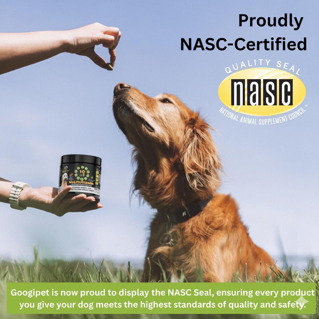 Googipet Multivitamínico Premium para Perros - Masticables con Glucosamina, Probióticos y Omega 3 (Sabor Cacahuete y Calabaza)