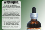 Extracto Líquido de Moringa sin Alcohol de Hawaii Pharm, Moringa (Moringa Oleifera) Glicerita de Hoja, Suplemento Natural, 60 ml