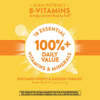 Nature's Way Alive! Multivitamínico Diario Energy 22 Vitaminas y Minerales 60 Comprimidos (Pack de 2)